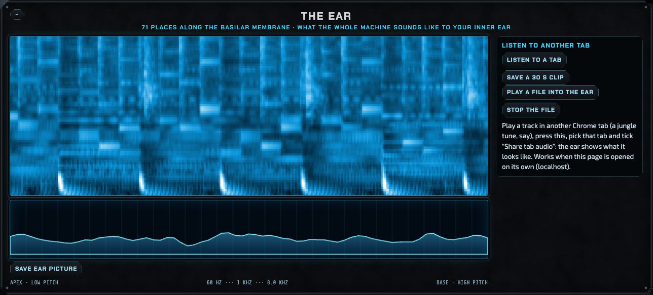 The ear section: a scrolling blue picture of the cochlea's response with low pitches at the bottom, and below it a line showing the basilar membrane right now; on the right, buttons to listen to another tab, save a clip and play a file into the ear.